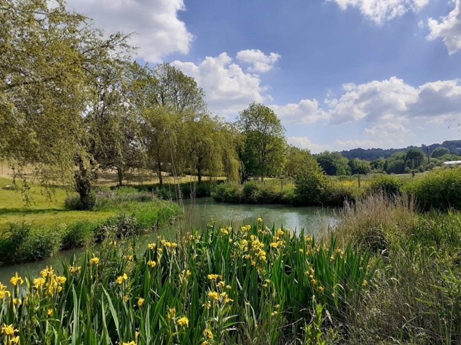 Bybrook river valley